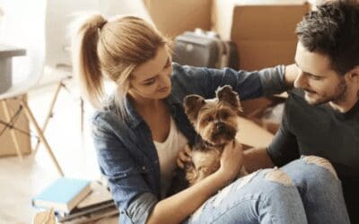 Trasloco e animali domestici: come comportarsi